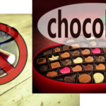 禁煙するならタバコの代わりにチョコレートを食べるのがおすすめ